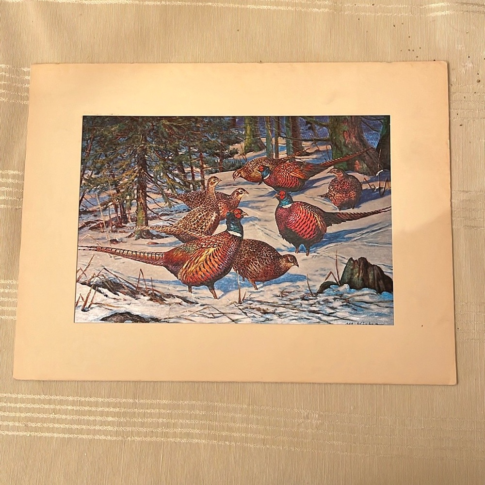 Dufex Pheasant Print